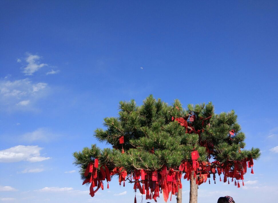 香山号称北京的天然氧吧，香山红叶更是中外驰名，不过说实话，我从来没去凑