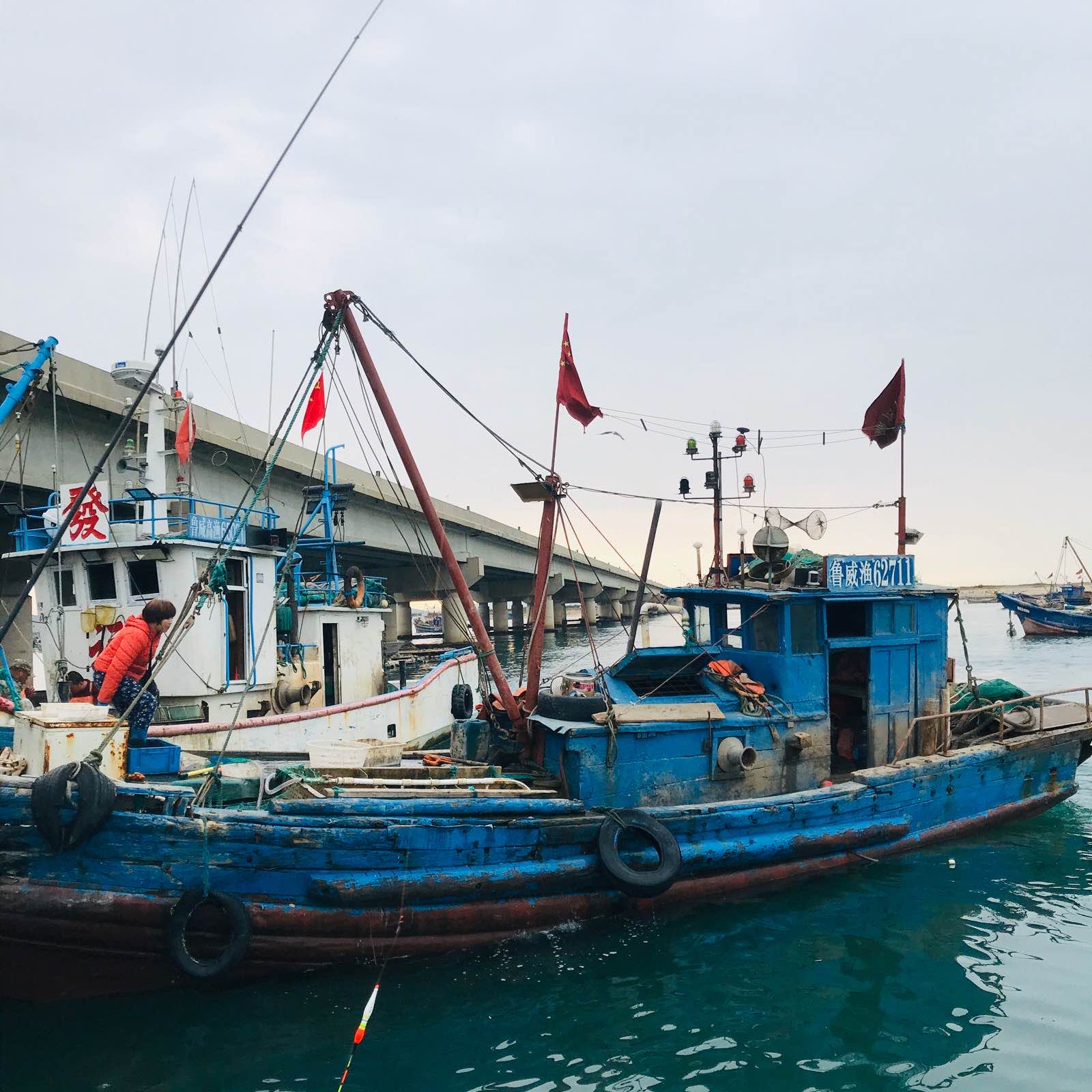 威海渔船码头