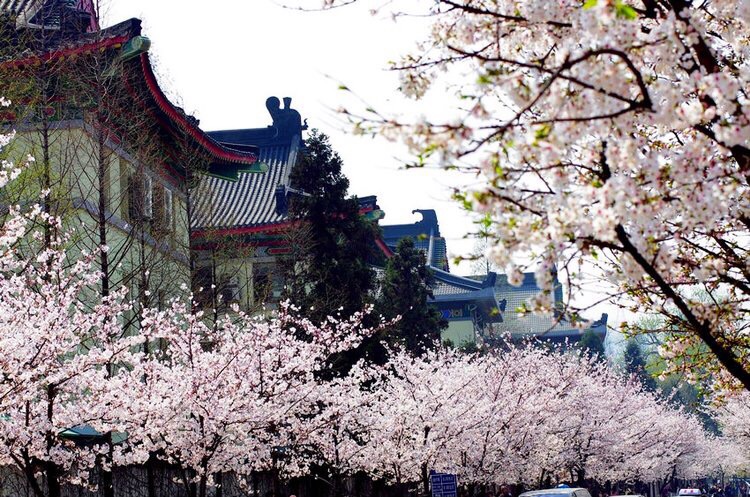 鸡鸣寺位于城北鸡鸣山东麓，是南京著名古寺之一。西晋永康元年(300年)