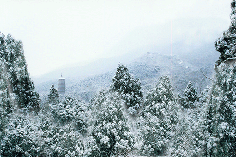 下雪，来听北平故事-北京三日赏雪之旅