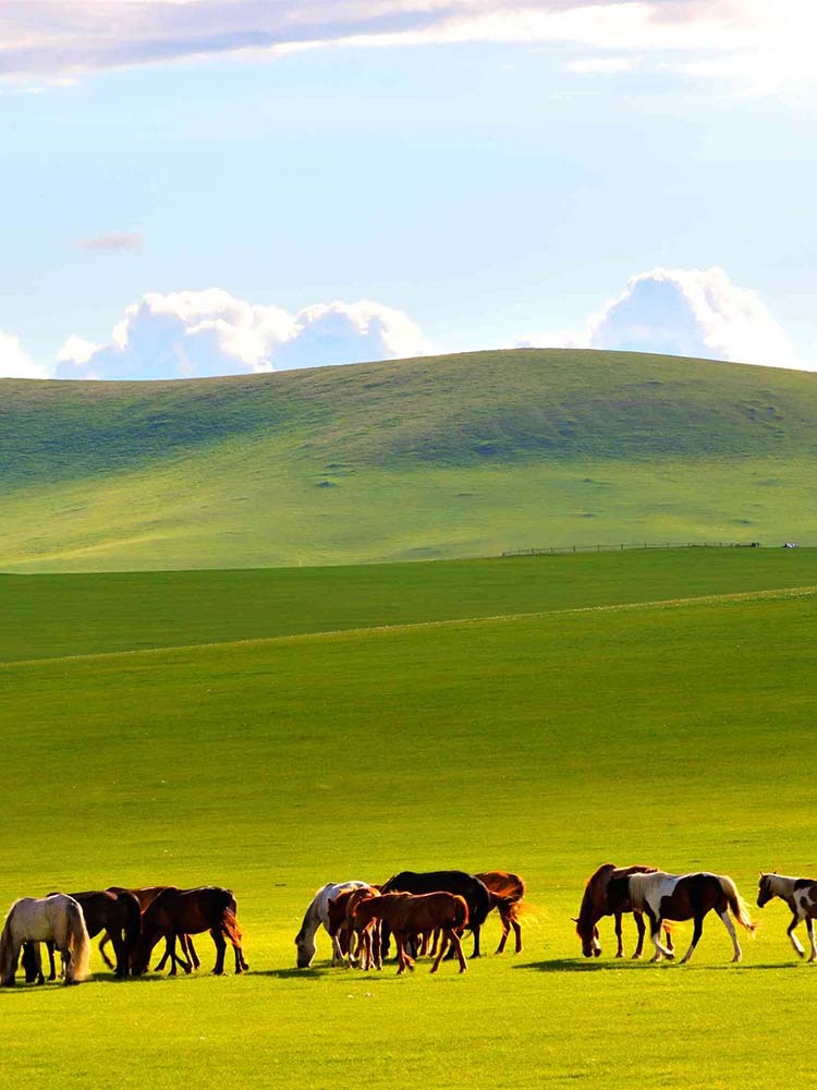 内蒙古两日自驾｜一路都是风景——恩和俄罗斯族民族乡、呼伦贝尔大草原、阿尔山