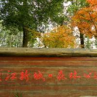 钱江新城森林公园自驾游景点