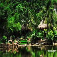 呀诺达雨林文化旅游区自驾游景点