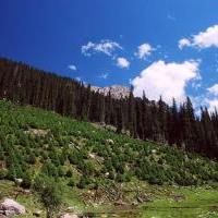 科桑溶洞国家森林公园自驾游景点