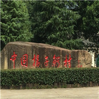 中国扬子鳄村自驾游景点