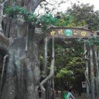 中坡国家森林公园线自驾游路线推荐_攻略