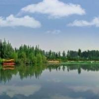 枣庄月亮湾湿地公园自驾游景点