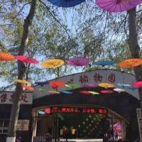 濮阳市中心动物园线自驾游路线推荐_攻略