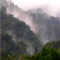 吊罗山国家森林公园自驾游景点