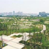 郑州雕塑公园自驾游景点