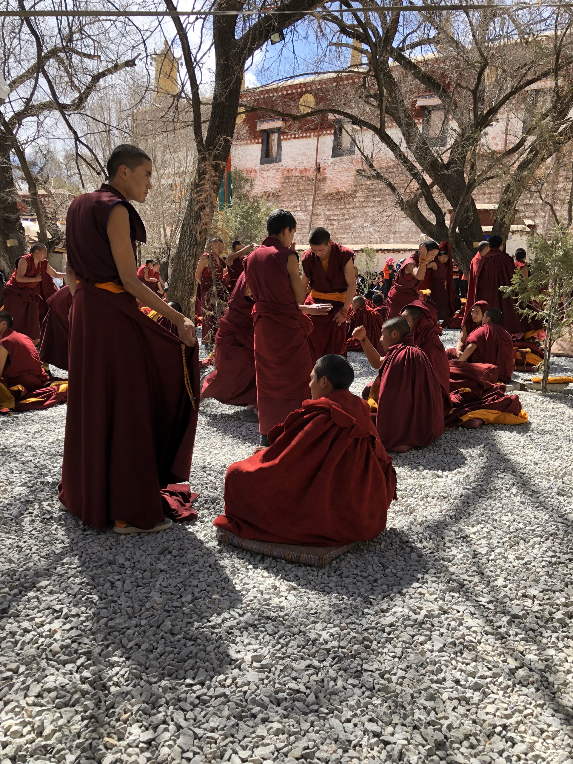 西藏之行特别值得去的地方_色拉寺
