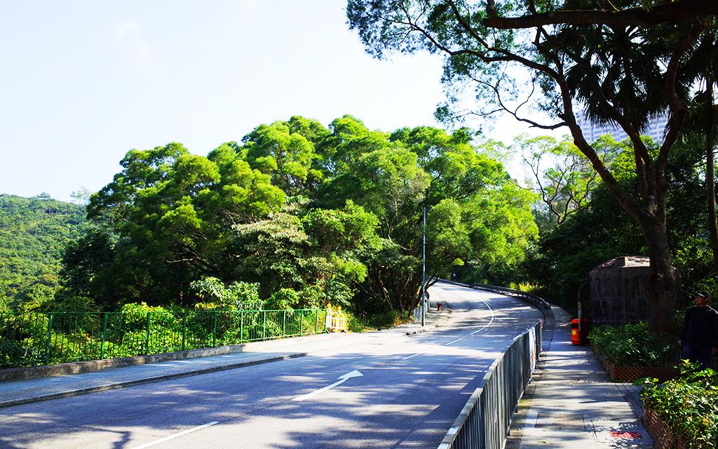 青山绿水亦香港-港岛径自然风光一日徒步