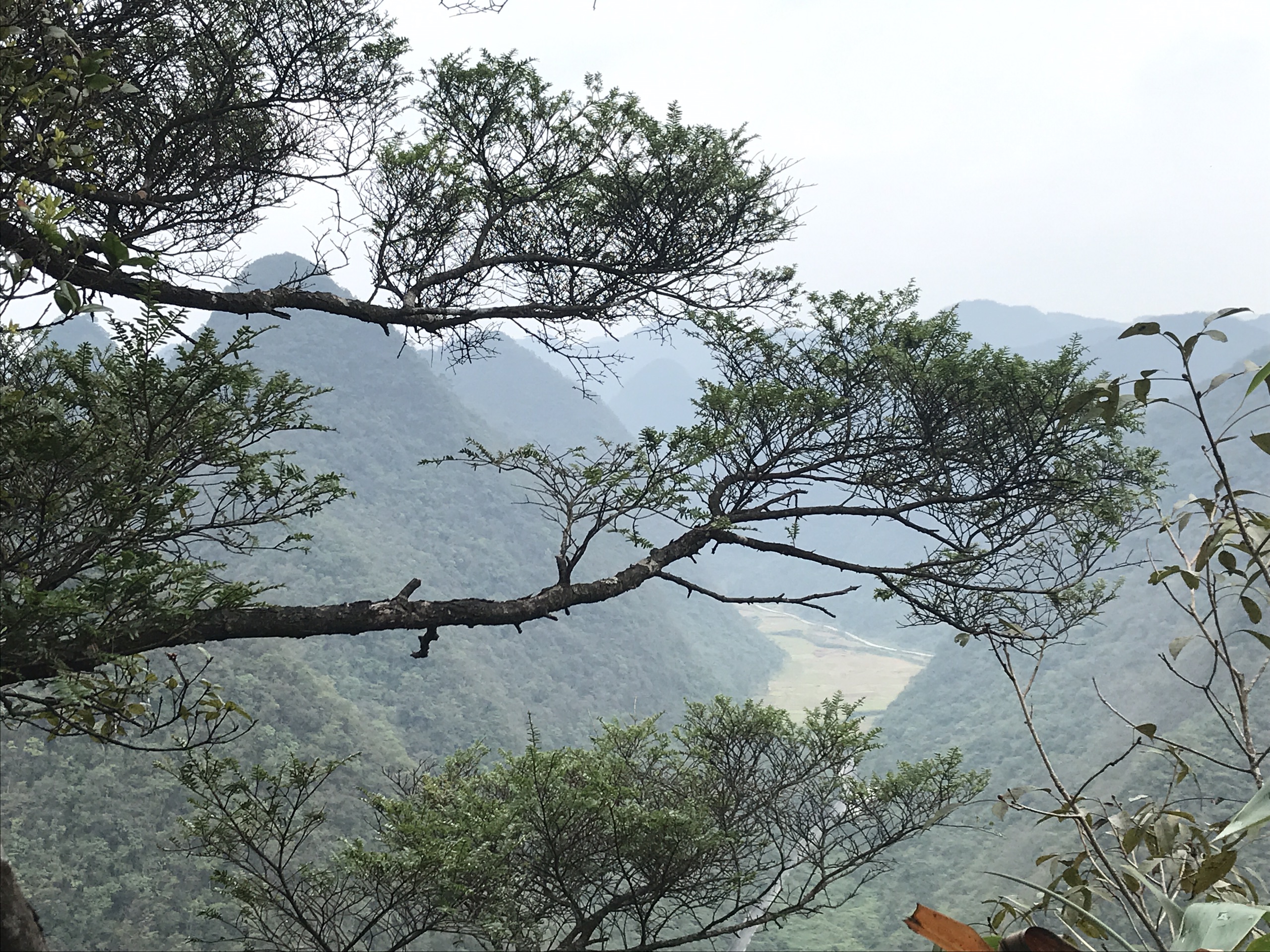 茂兰，自驾胜地_贵州茂兰国家级自然保护区