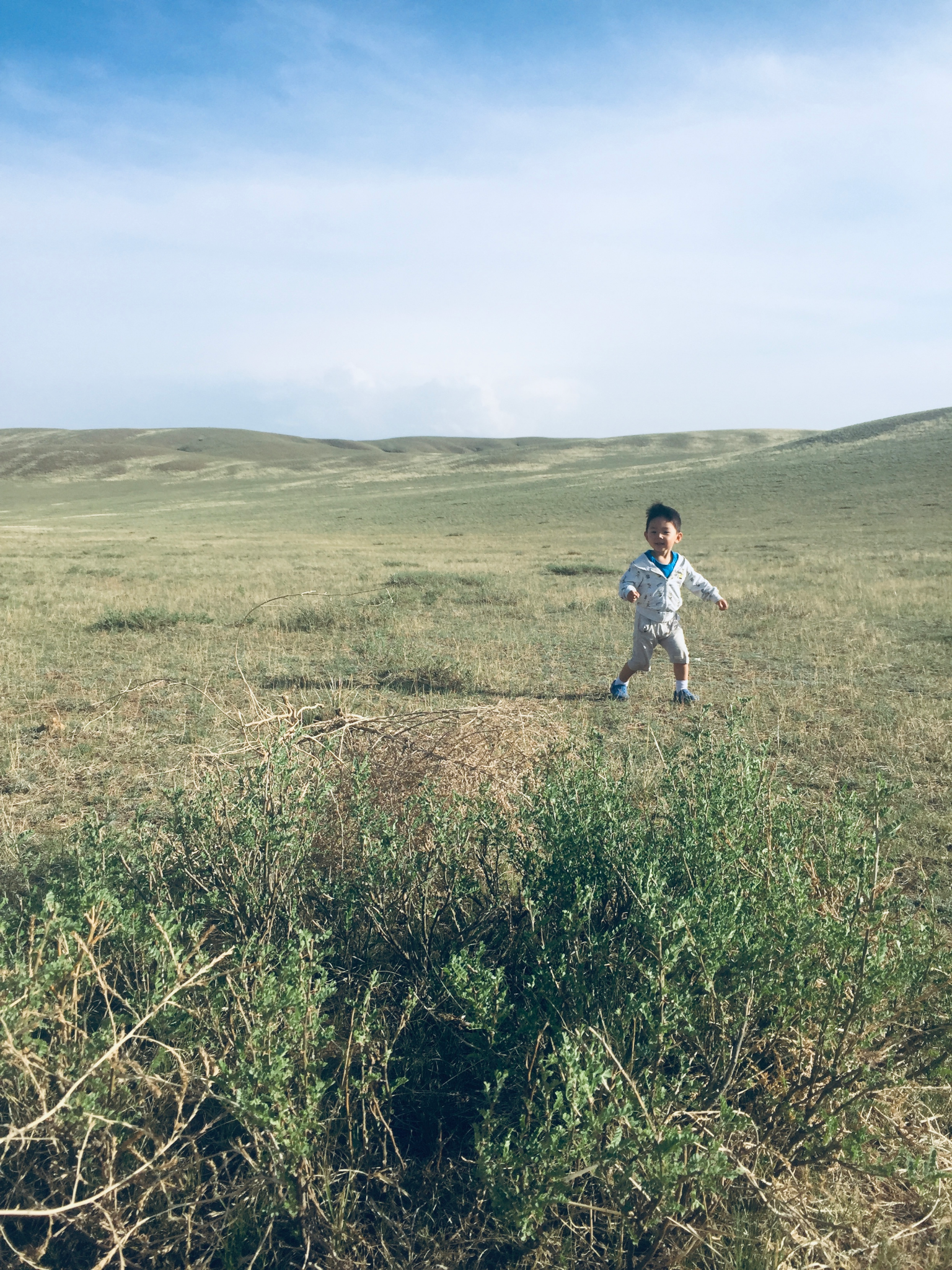 【公路自驾有多酷？】内蒙古乌兰察布G209国道自驾_格根塔拉草原