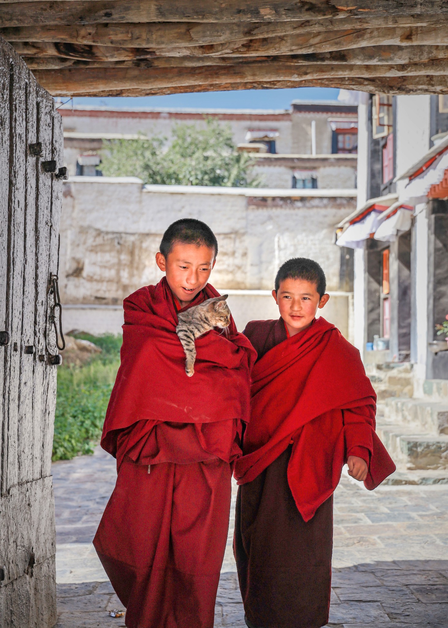 藏地自驾游，干脆利落的辞职，踏上了西藏之旅-我的毕业旅行