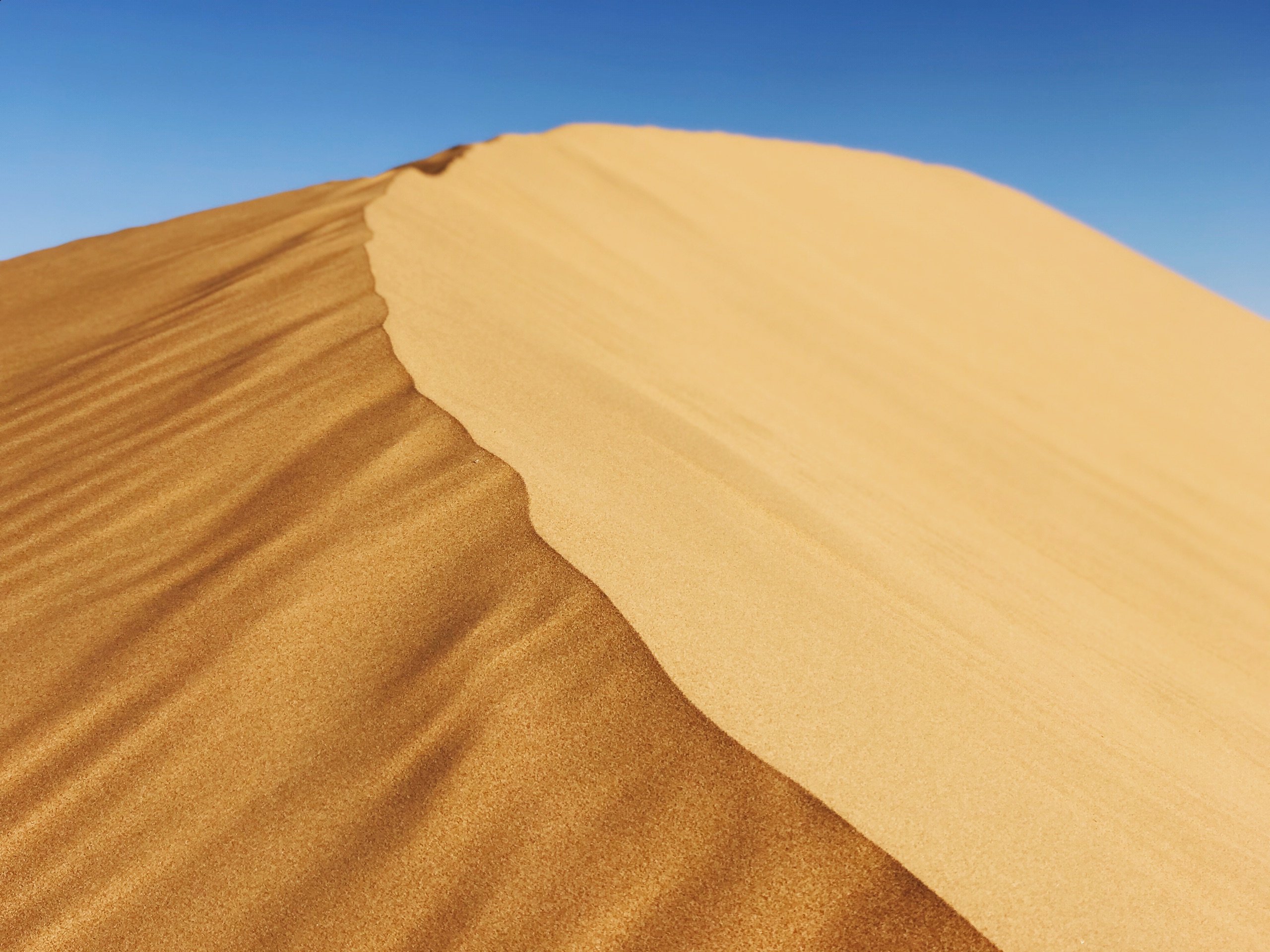 银川自驾腾格里沙漠（阿拉善左旗）_内蒙古阿拉善沙漠国家地质公园