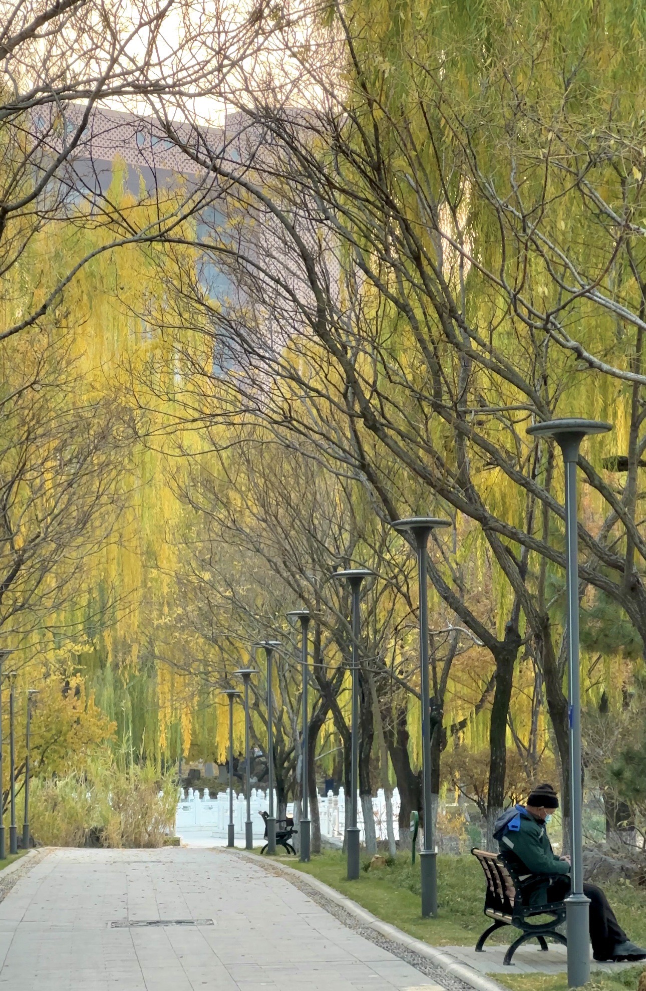 2023临沂周边游｜五洲湖公园里的多彩秋天