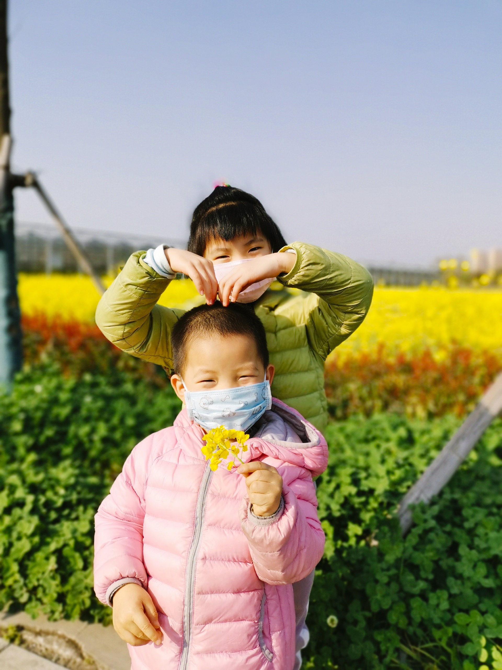 杭州周末哪里好玩？三墩兰里景区油菜花盛开啦！