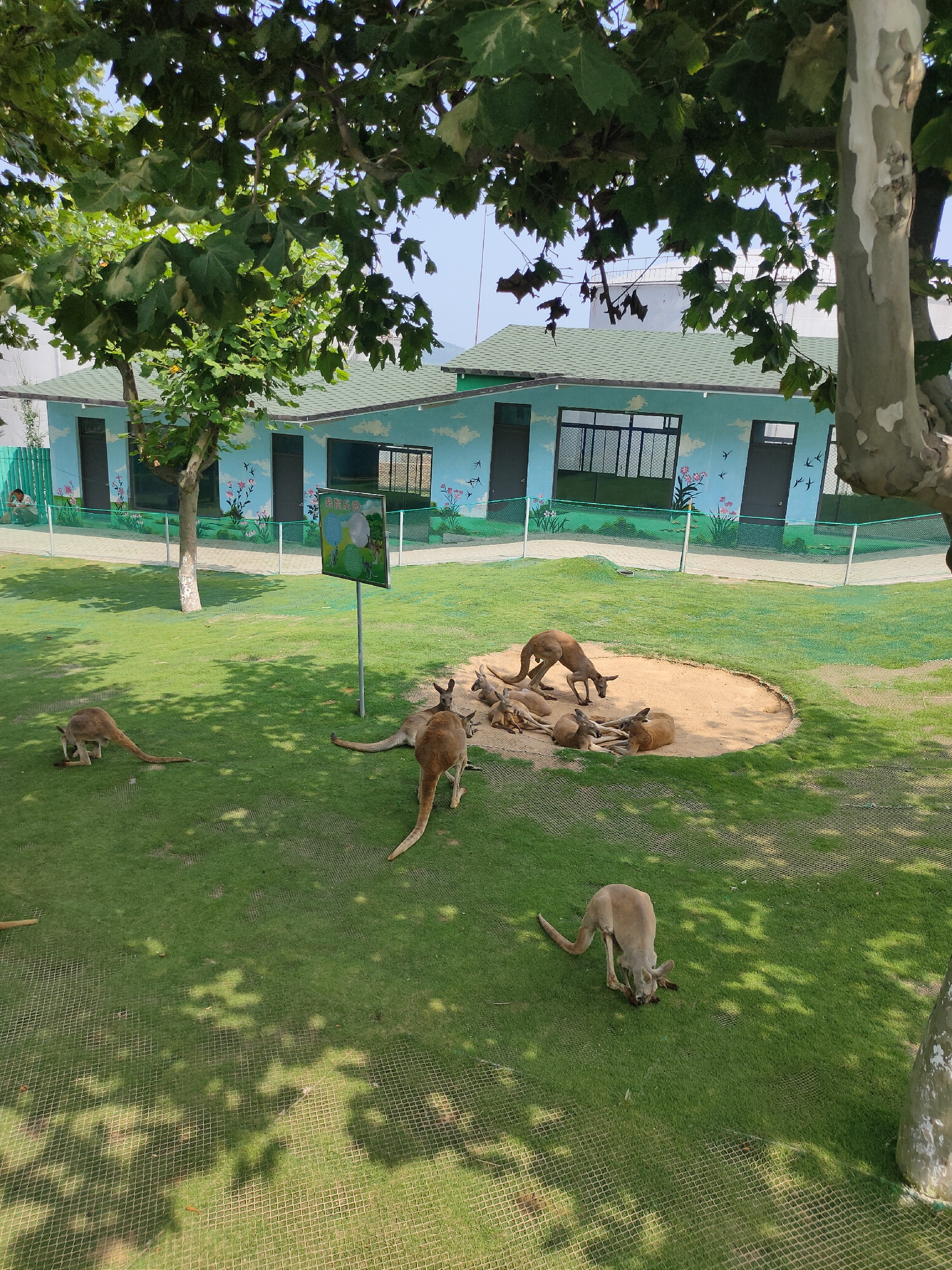 神雕山野生动物园，光这景色就能值回门票-2020最新西霞口野生动物园图片