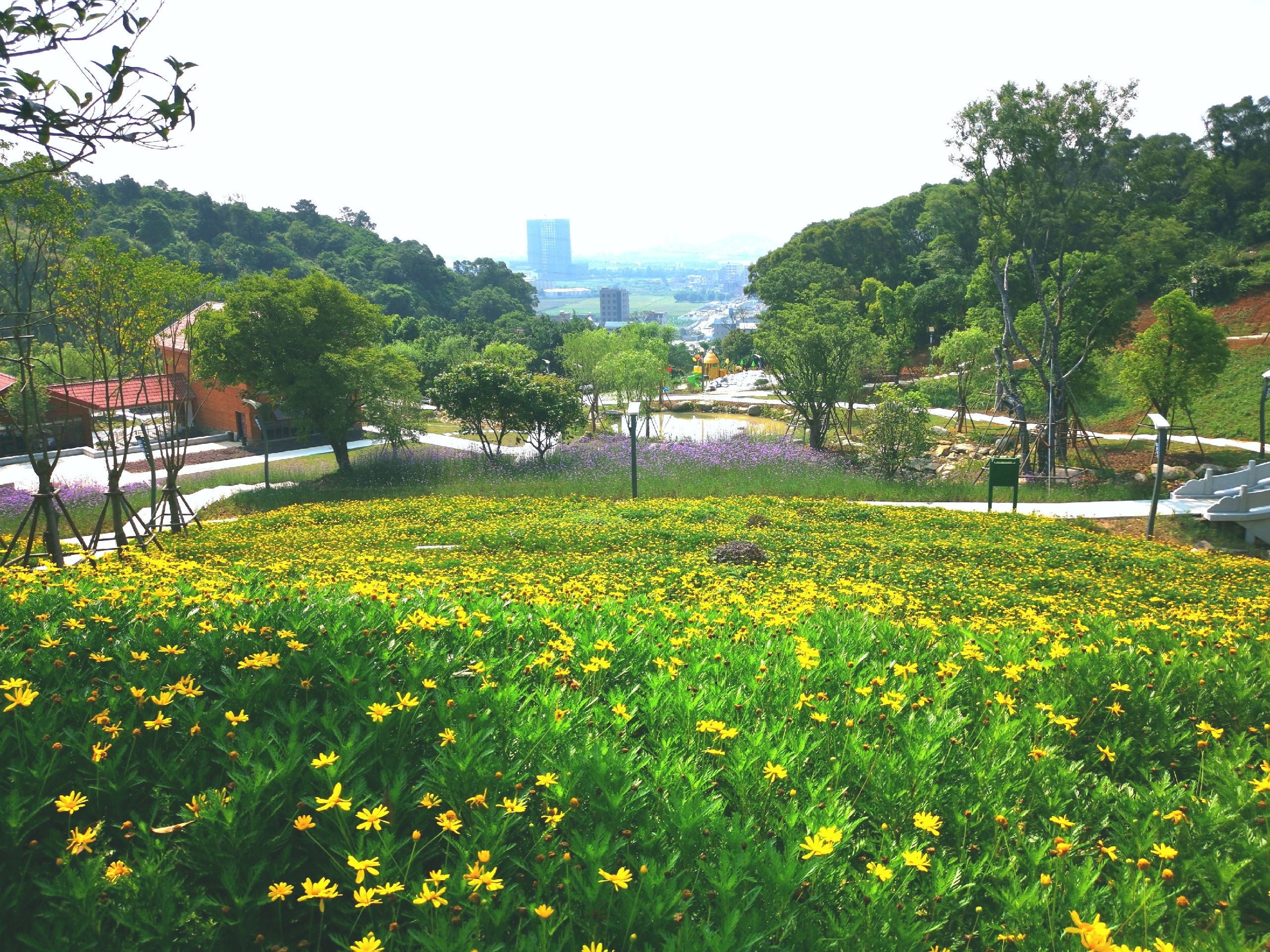 长乐南山公园风景图片