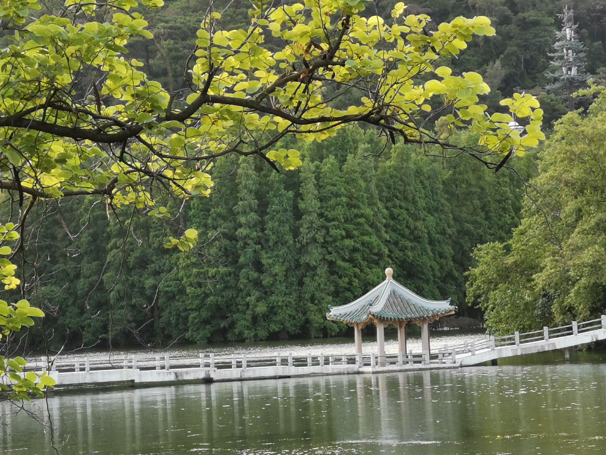 肇庆星湖旅游区包括七星岩和鼎湖山两大片区 门票七十元。