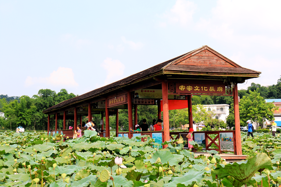 花都梯面红山村