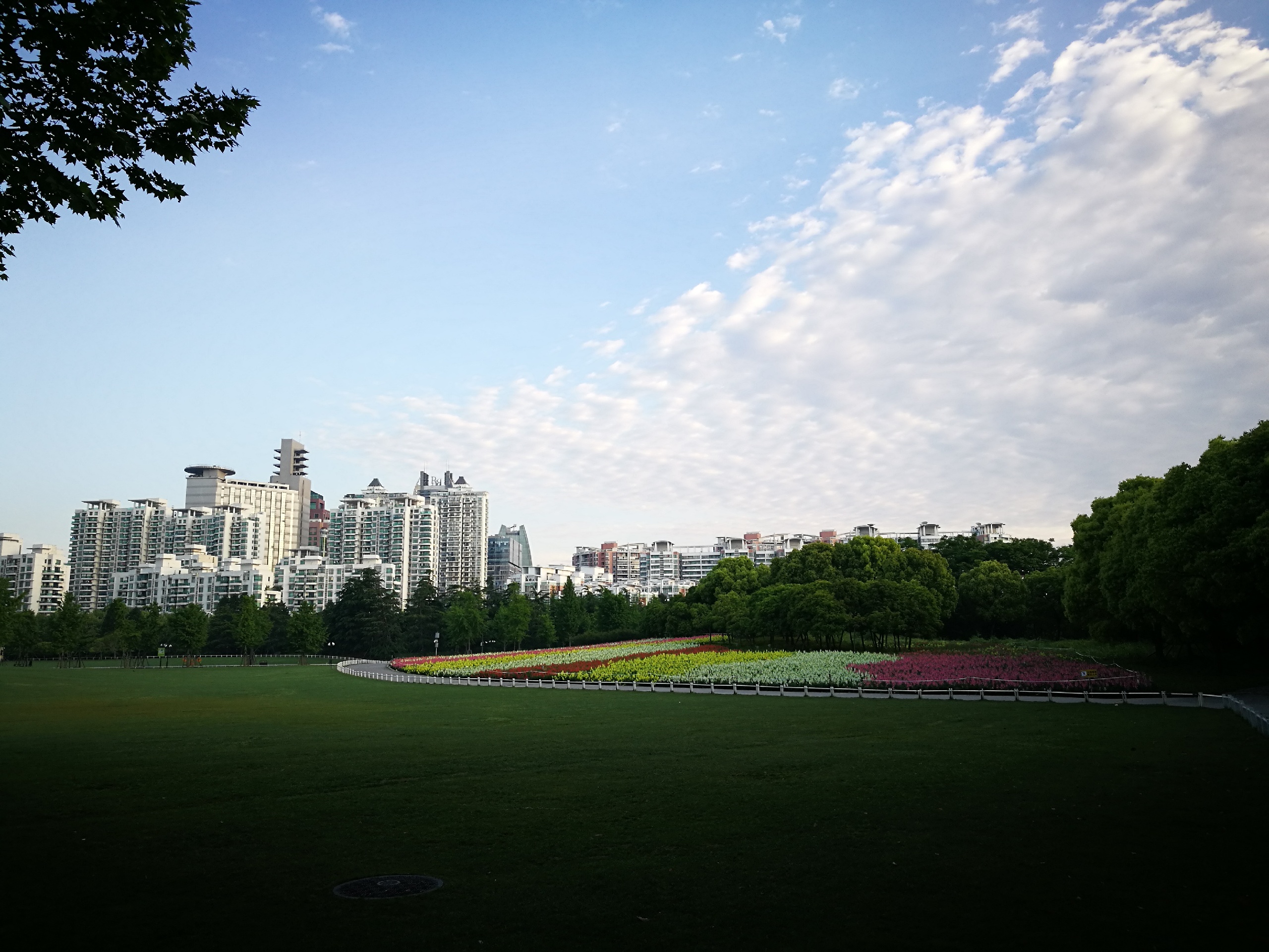 上海世纪公园上海市区内最大的公园。门票10元，65岁以上老人免费