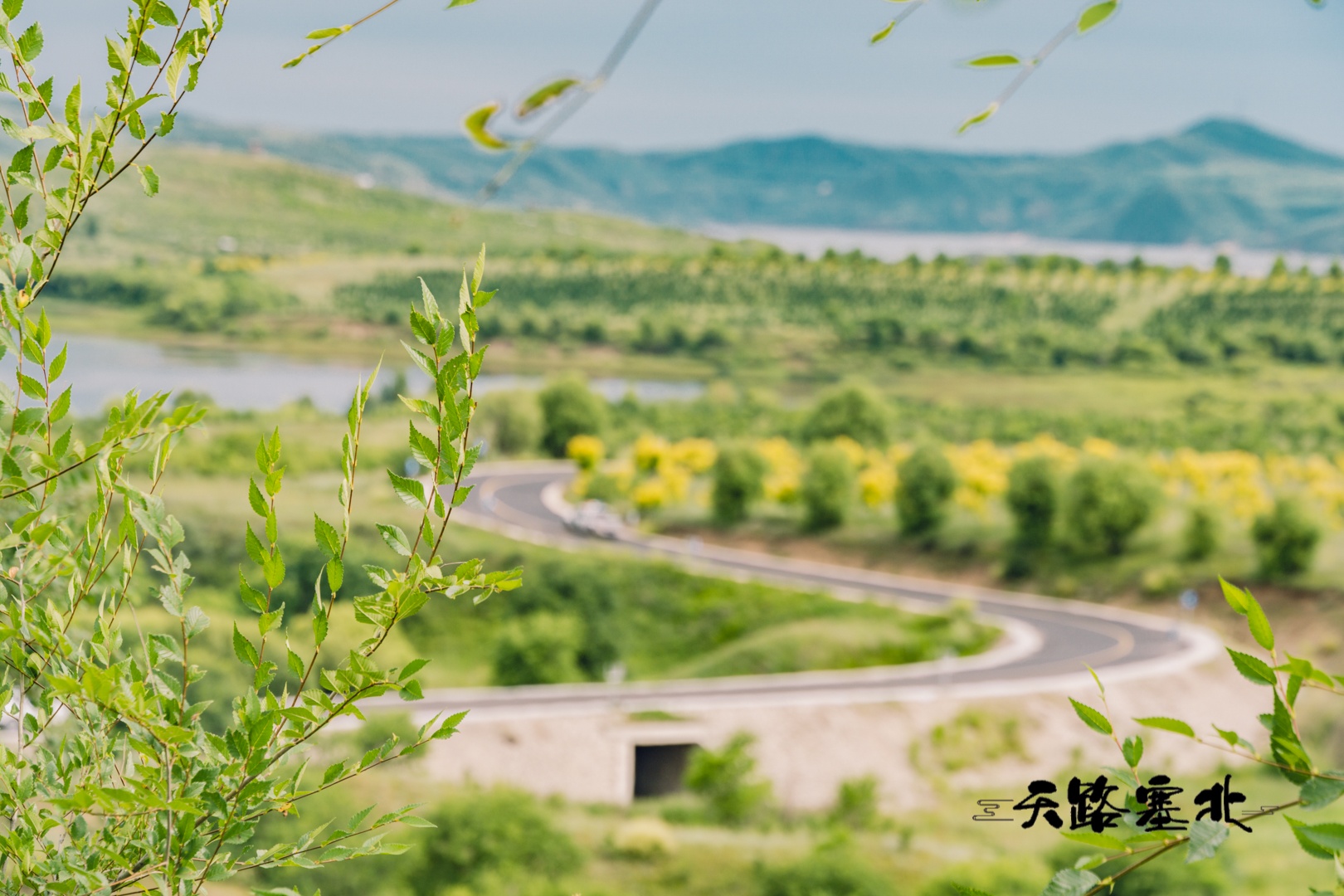 2020最新京津周边最美景区丨多伦湖环湖自驾拍摄攻略