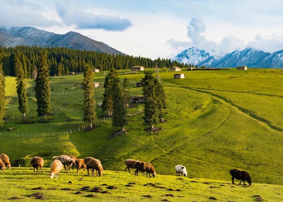 【喀拉峻大草原】新疆旅行不可错过的美景