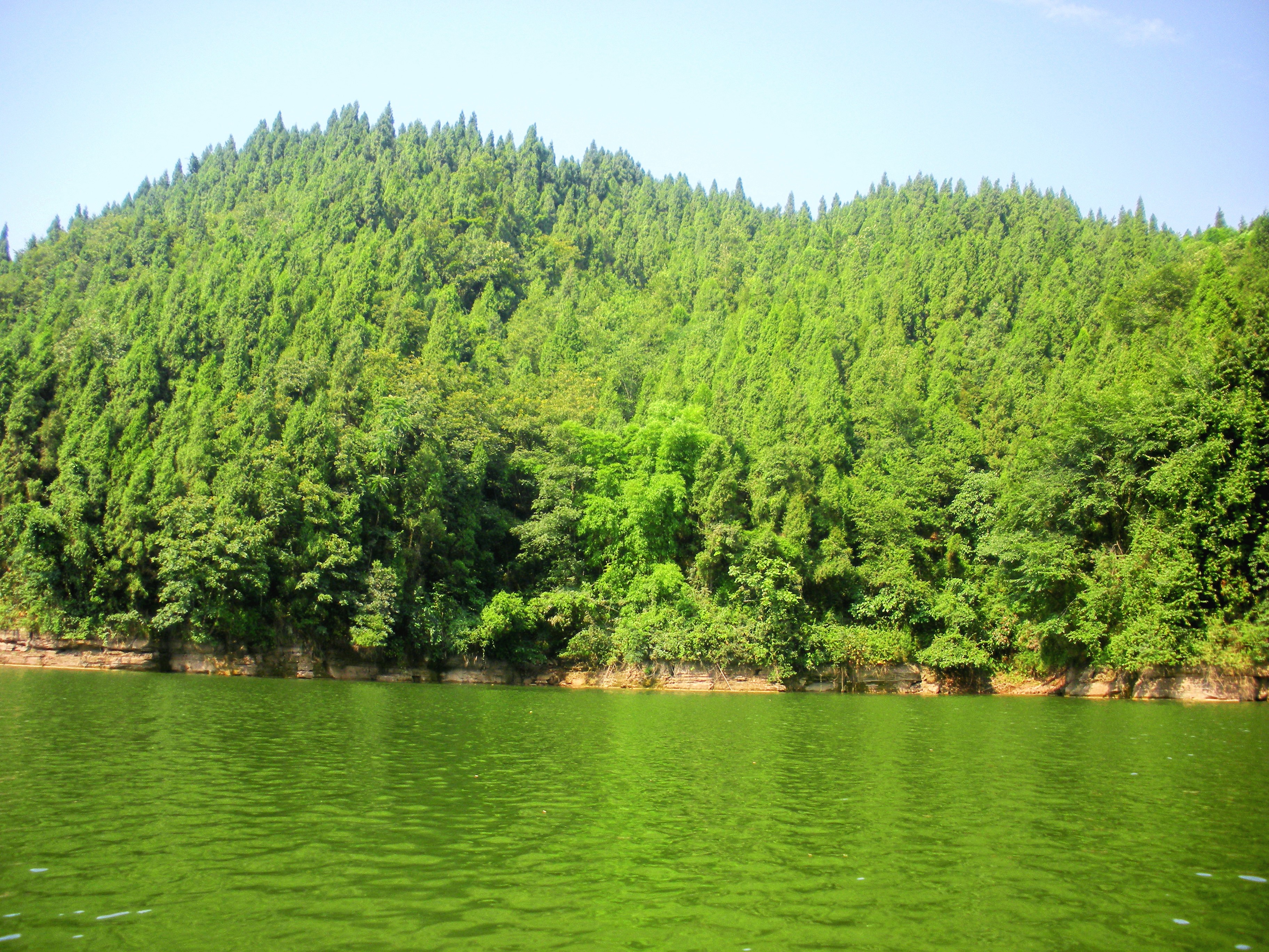 賨人谷景区，国家AAAA级旅游区，四川省省级风景名胜区，省级森林公园