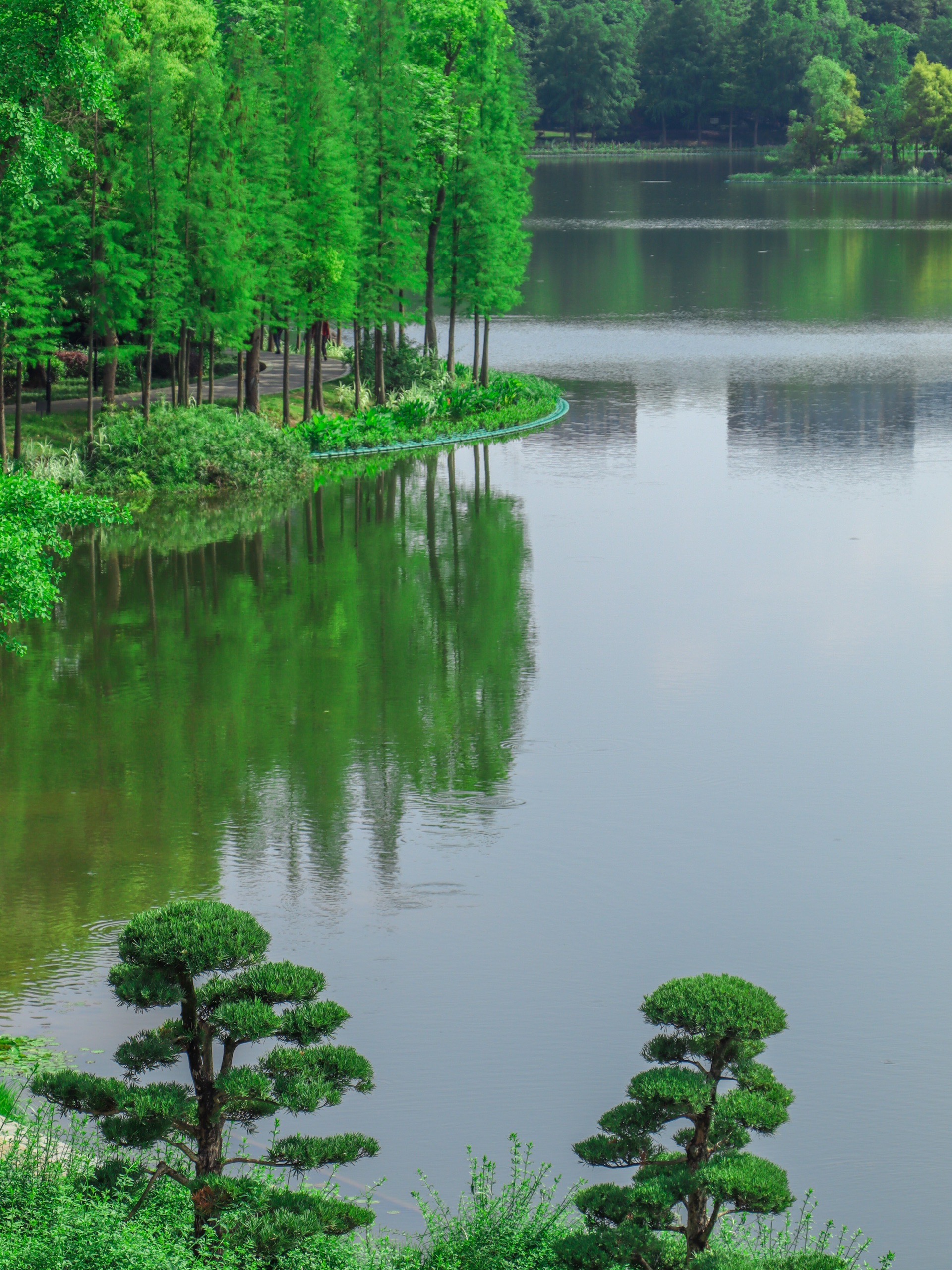 重庆壁山秀湖公园｜四月末的那一抹绿，浪漫且温柔！