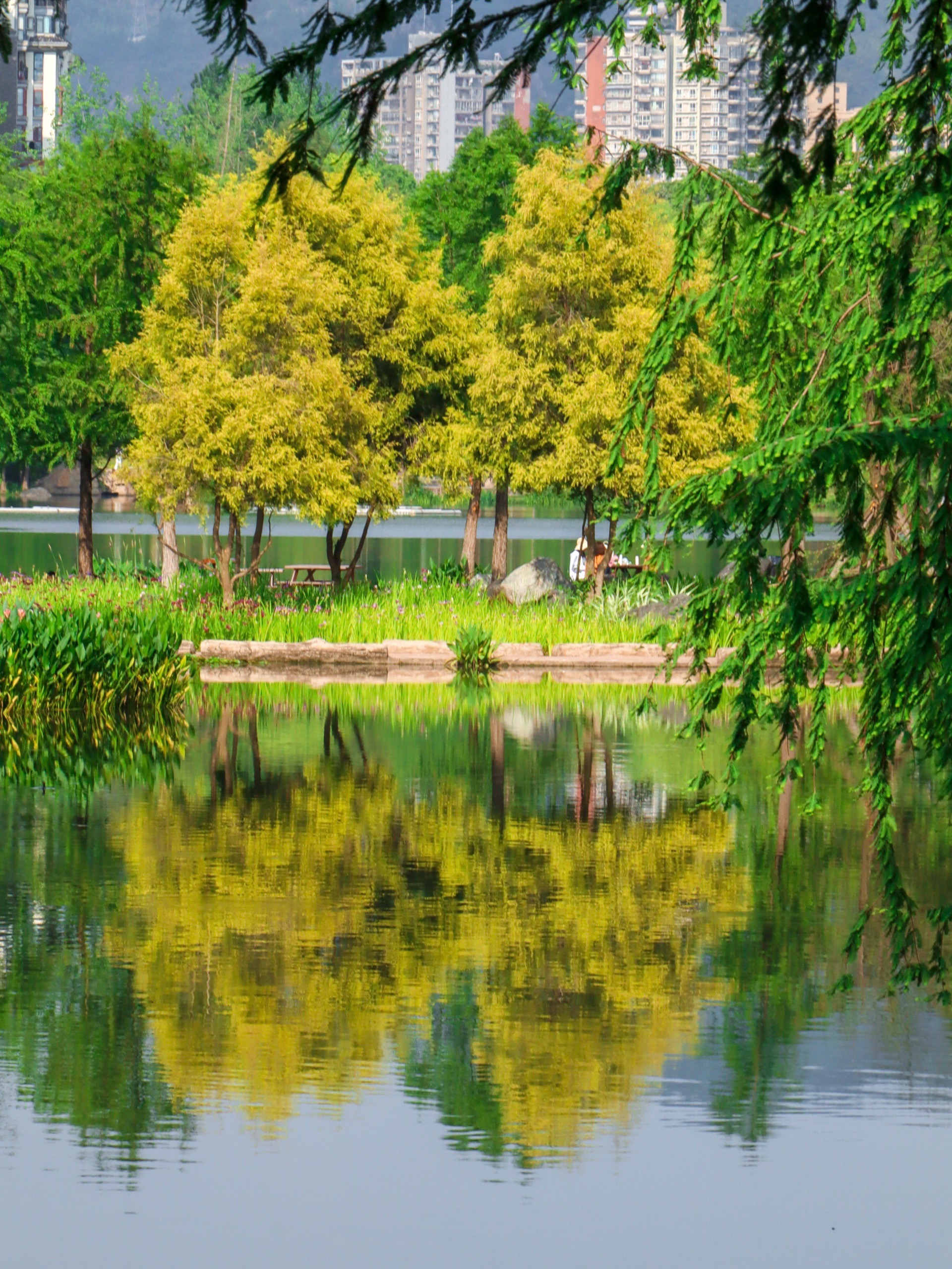 重庆壁山秀湖公园｜四月末的那一抹绿，浪漫且温柔！