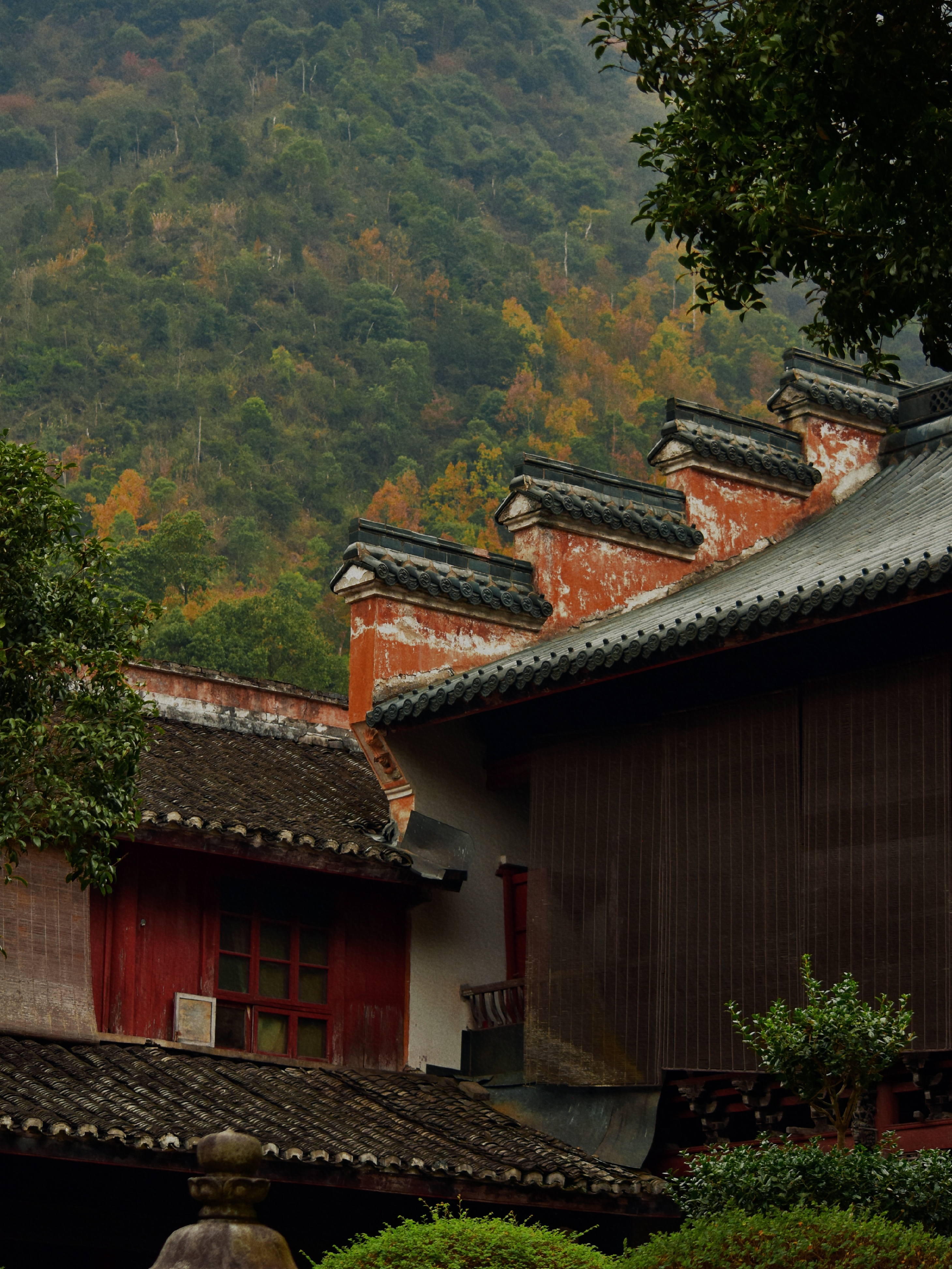 台州周边游！低调了1400年的隋代古刹国清寺详细攻略