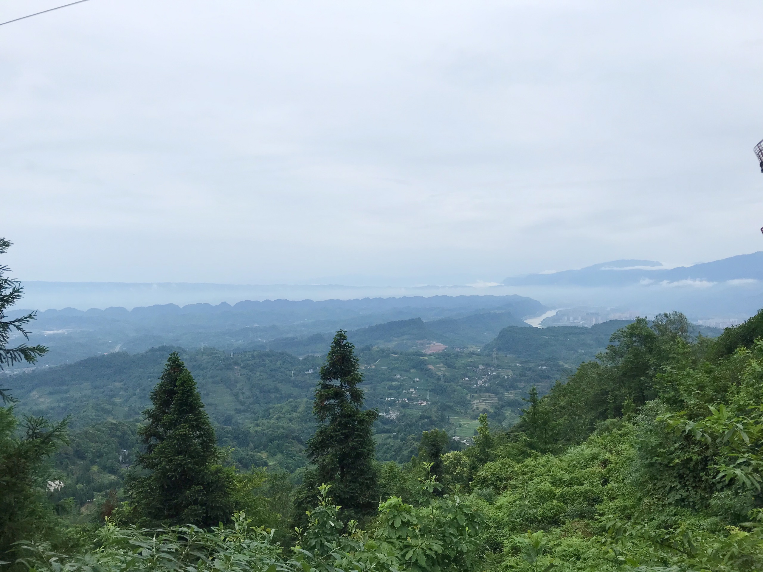雅安名山区蒙顶山-雨后的静谧的茶山