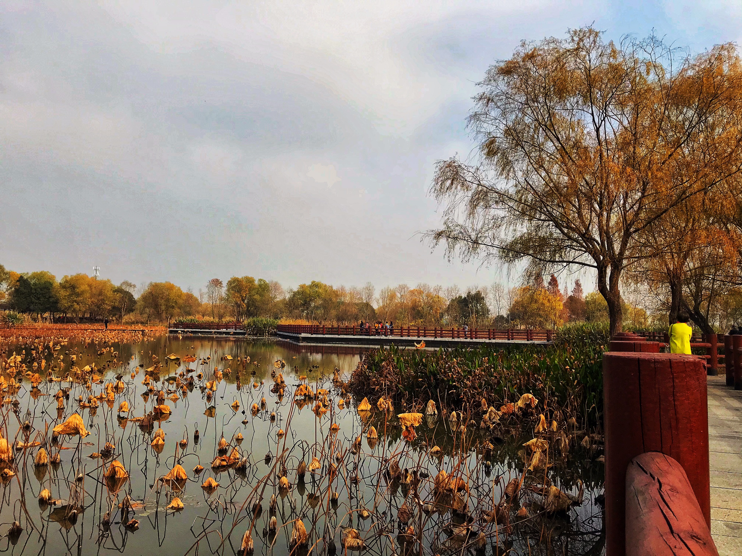 长兴太湖图影湿地公园-是典型的湖泊形湿地，属于太湖水系