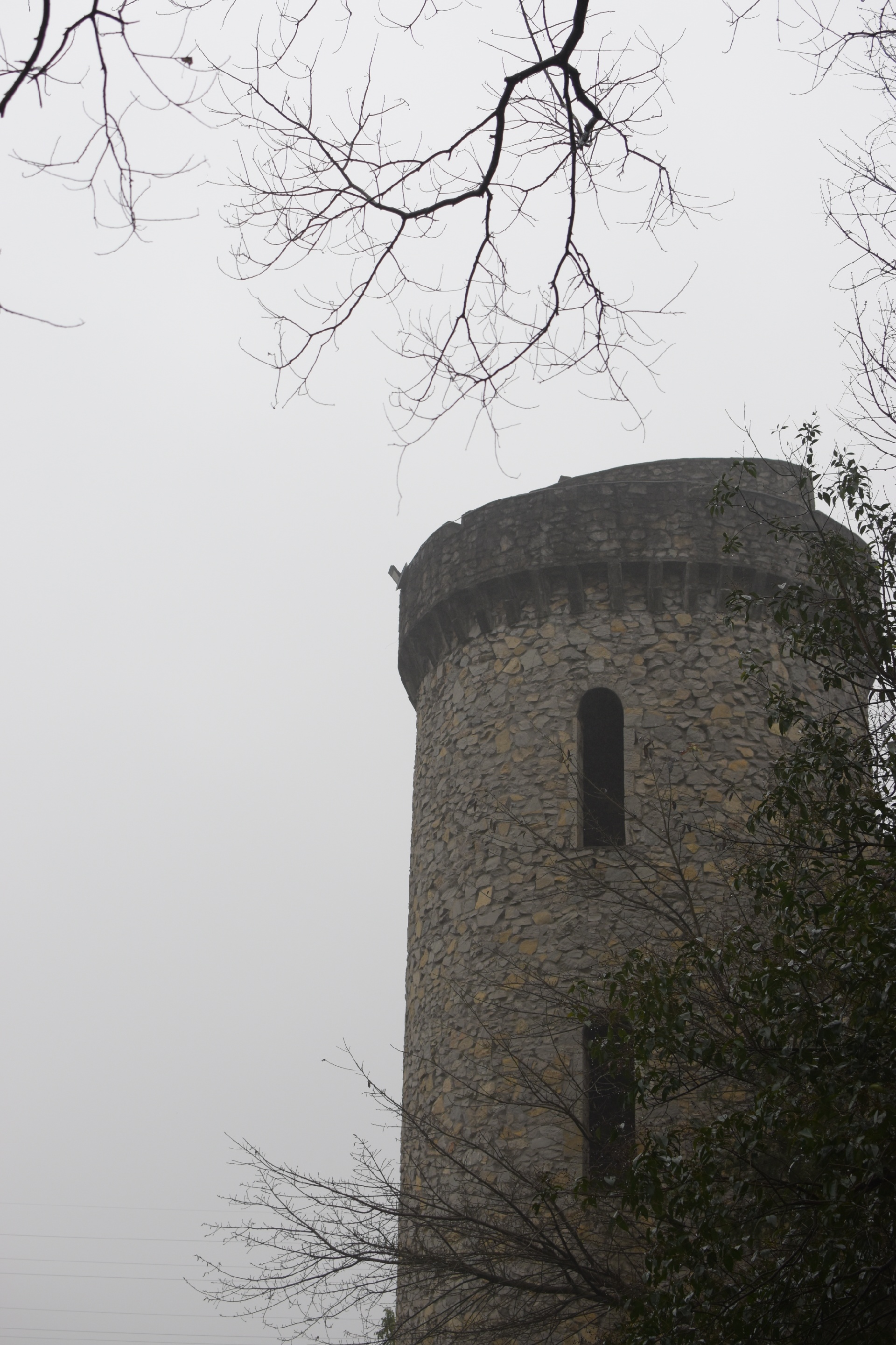 隆冬深寒到海石公园，看腊梅，清香扑鼻，欧式的城堡映着花香的柔软