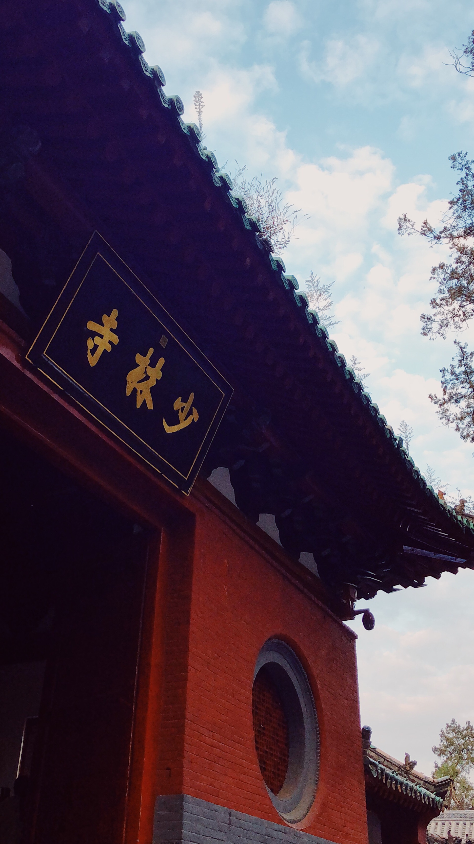 我的少林梦对作为来河南旅游的我来说，没去少林寺相当于没去河南