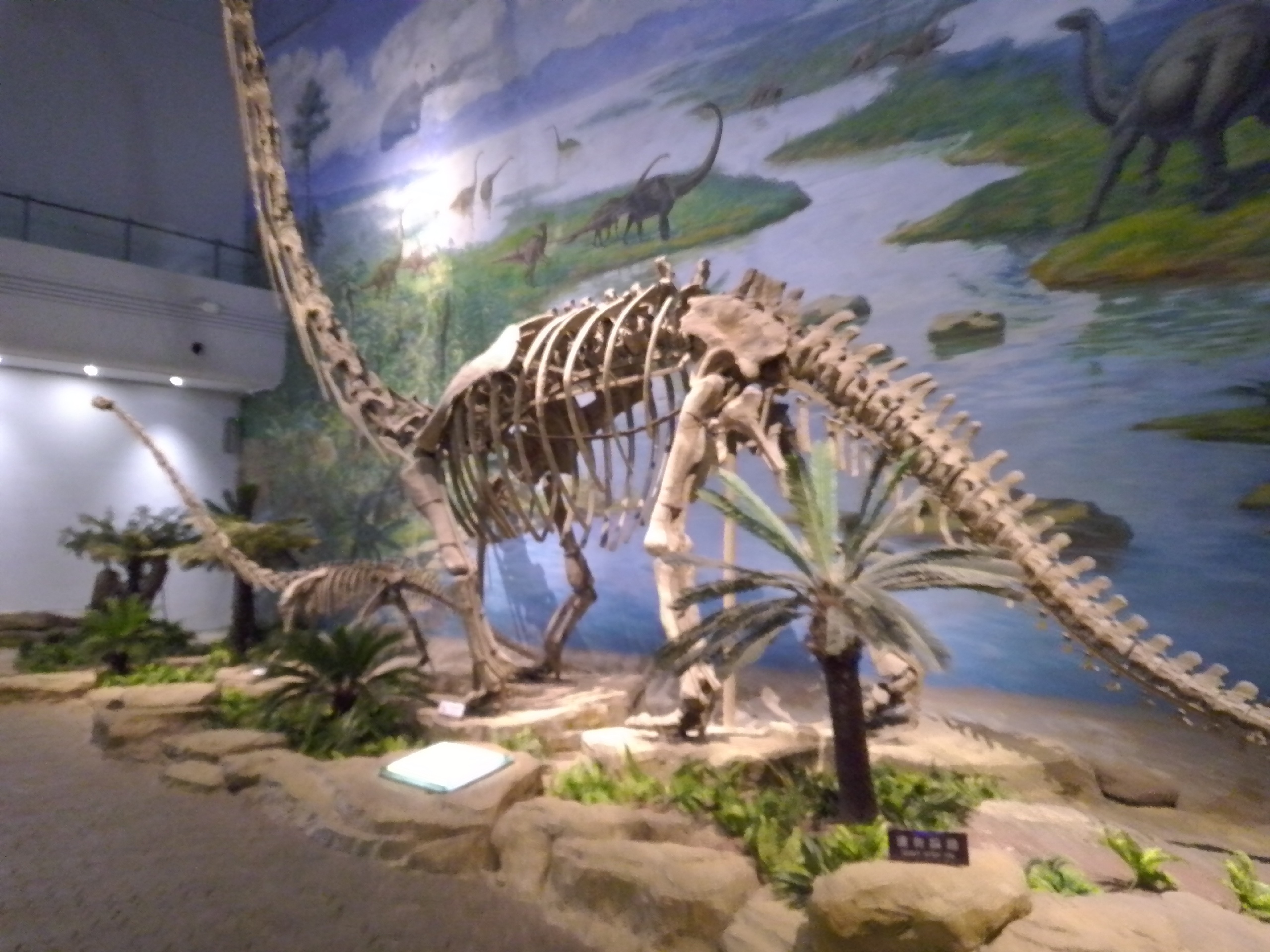 恐龙的世界，穿越时空的遥想_自贡恐龙博物馆