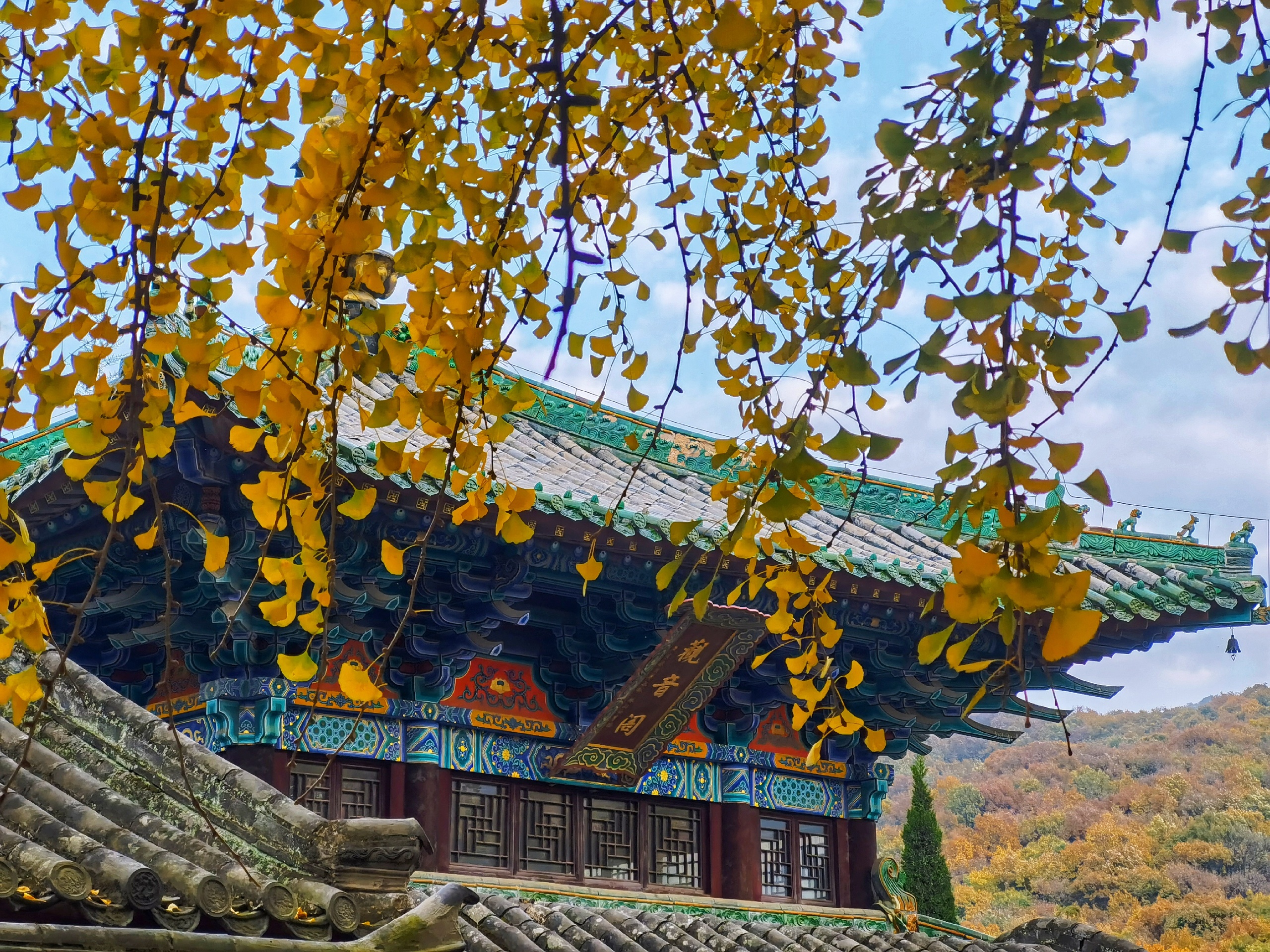 嵩山少林寺这里的秋天太美了