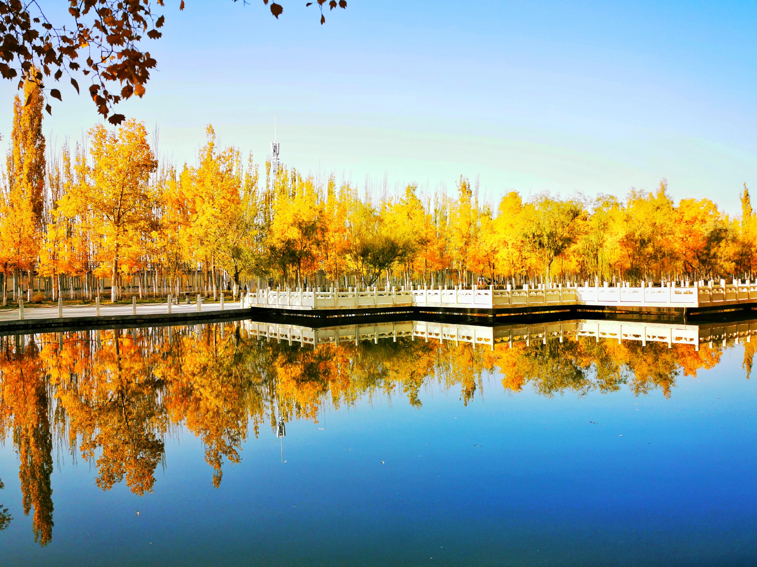库尔勒市天鹅河景区-秋天的天鹅河景区图片