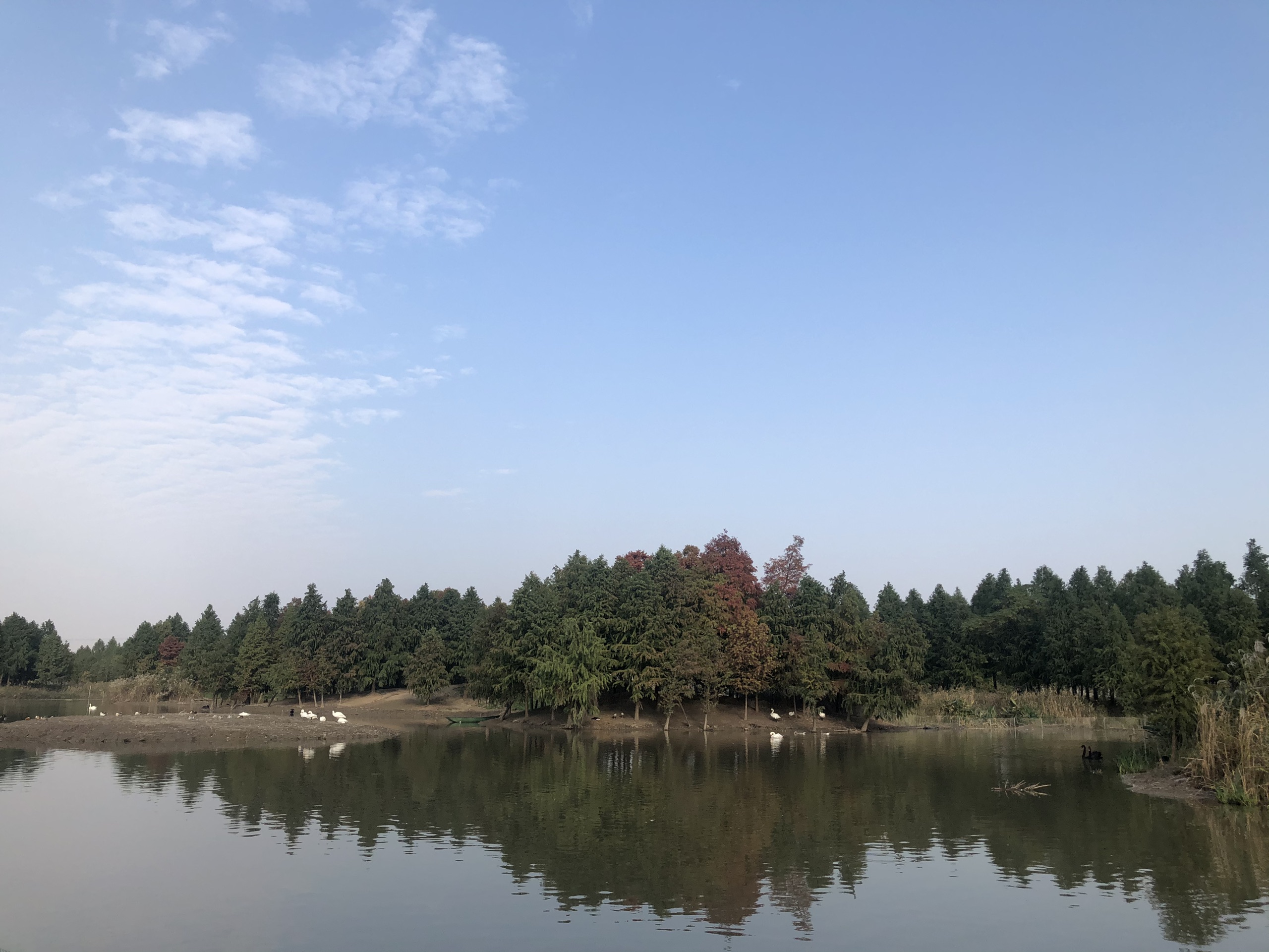 杭州湾湿地公园秋冬景致-杭州湾国家湿地公园