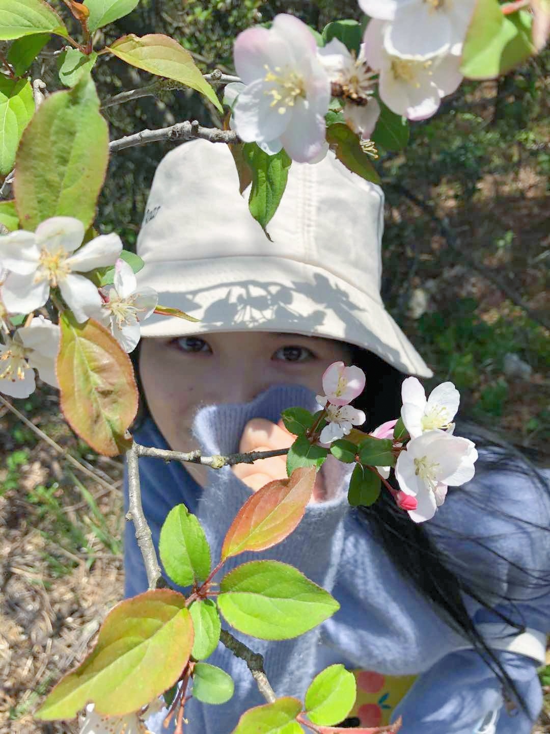 打开春夏摄影的正确方式-幕阜山森林公园