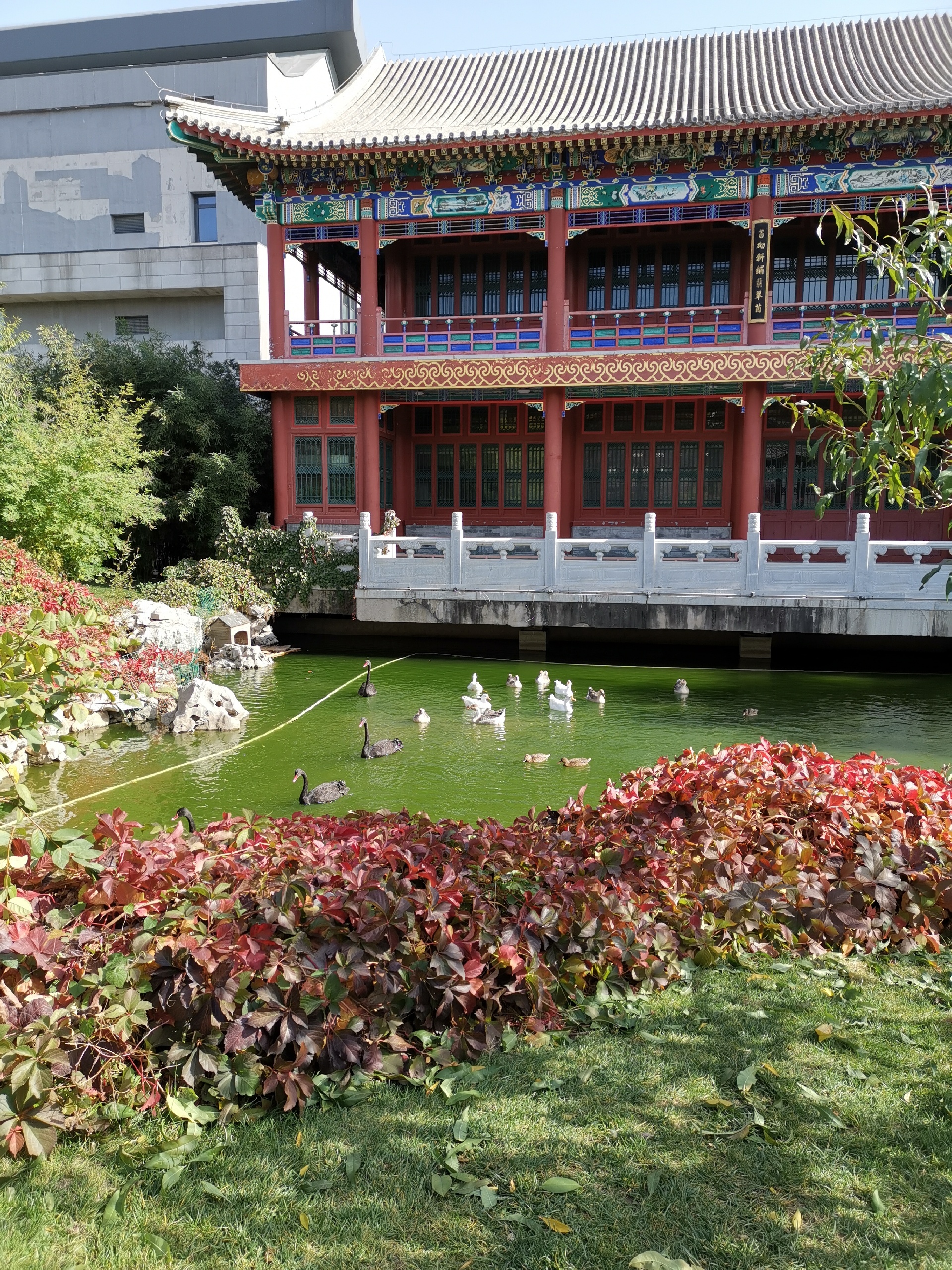 中国园林博物馆-停车场免费，需要关注公众号预约，有室内和室外