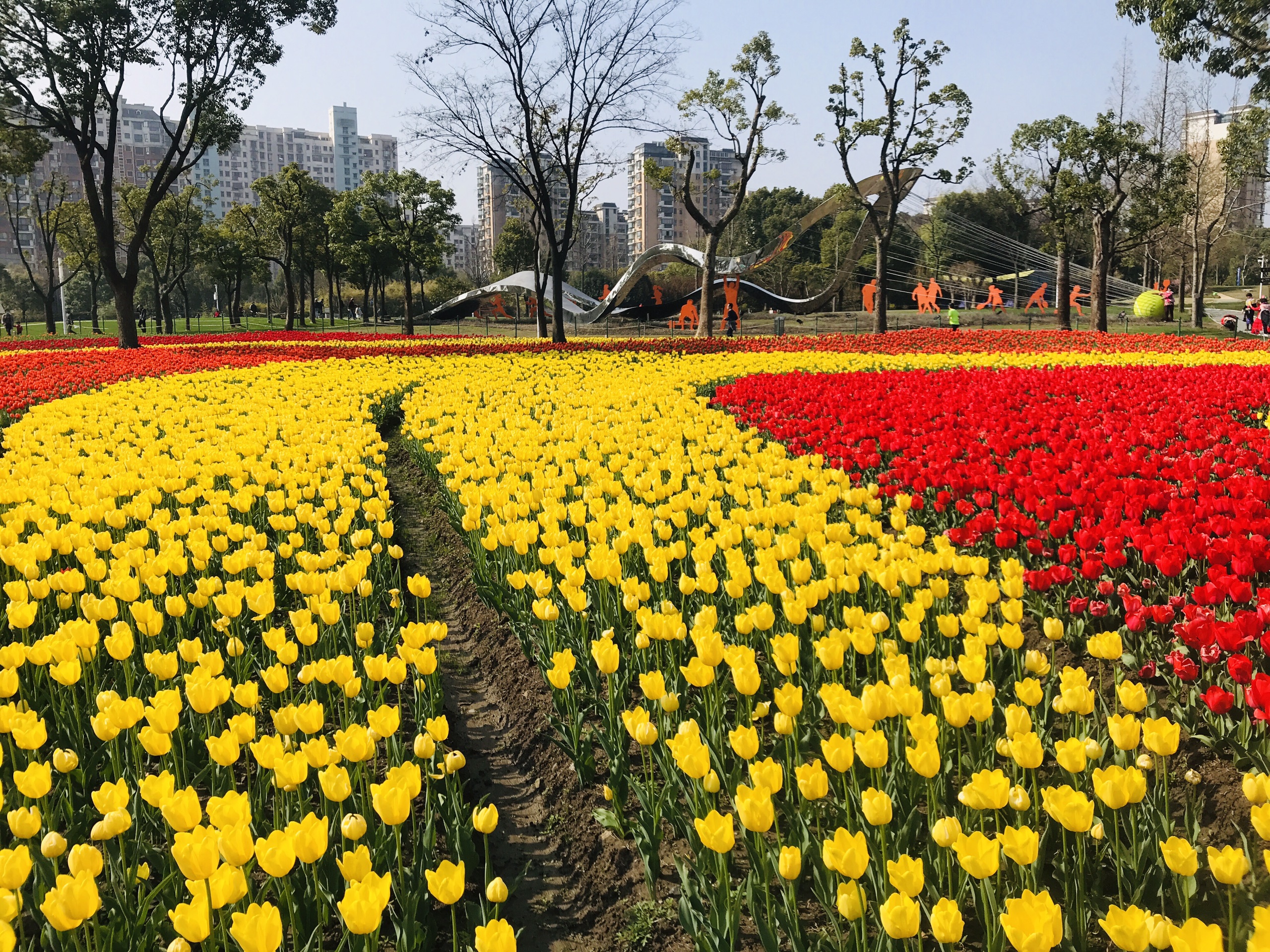 大宁郁金香公园-2021最新上海大宁郁金香公园实拍图片