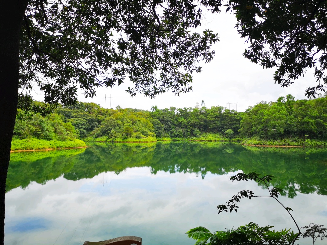 没有计划的惠州三日行-红花湖景区