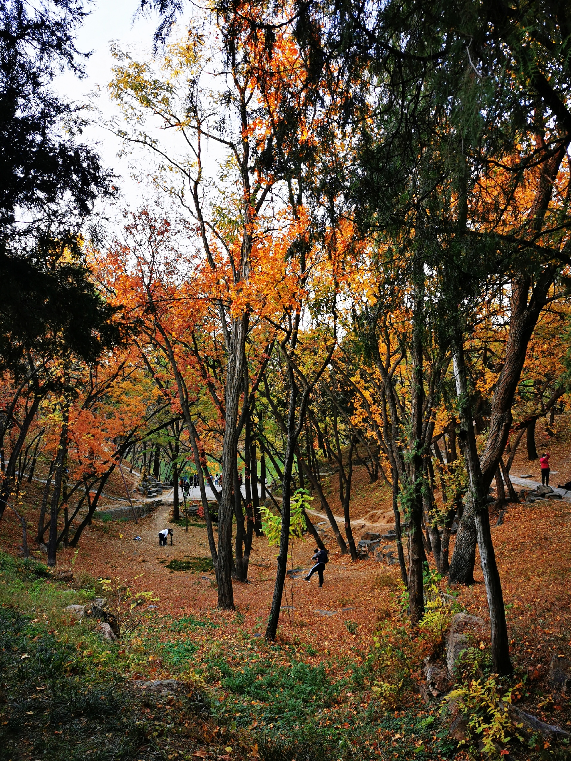 颐和园的午后黄昏！颐和园也绝对是京城赏秋的一大好去处之一
