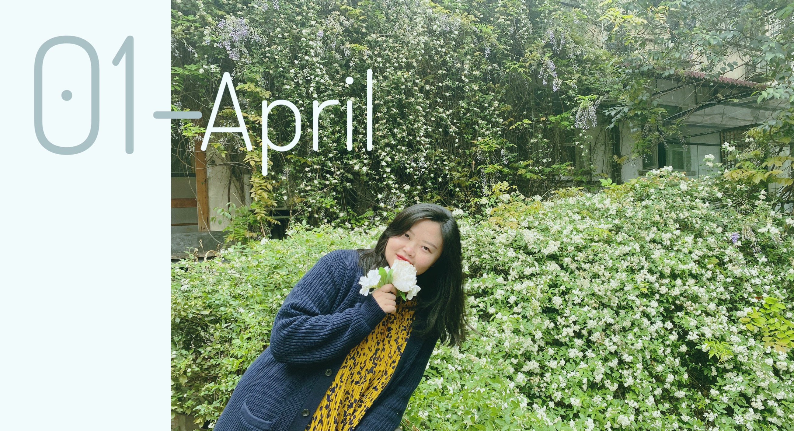 没有木香花的四月是不完整的_脐chee·cafe
