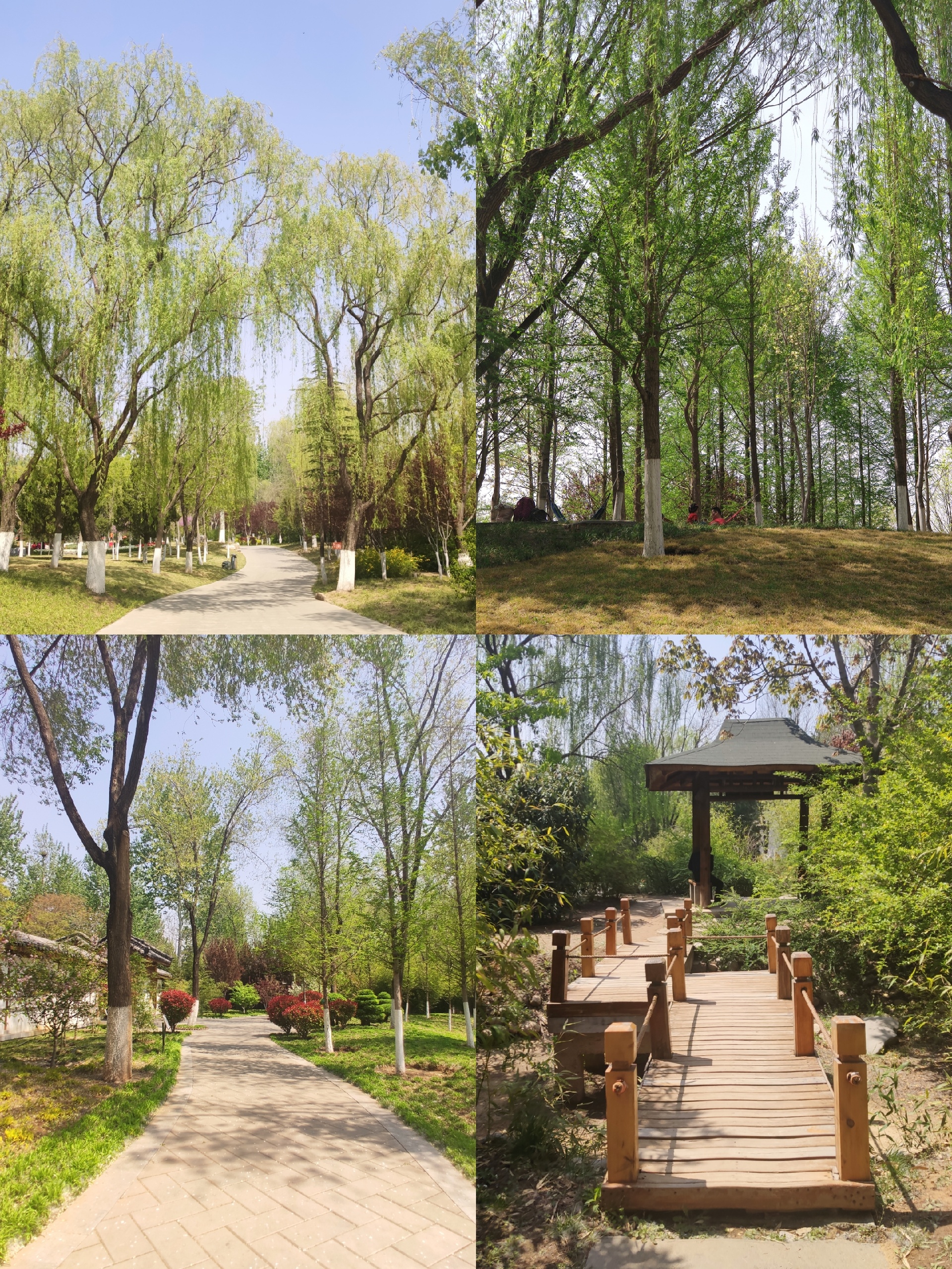 【推荐打卡】济南新植物园，在这里看遍春天的所有颜色
