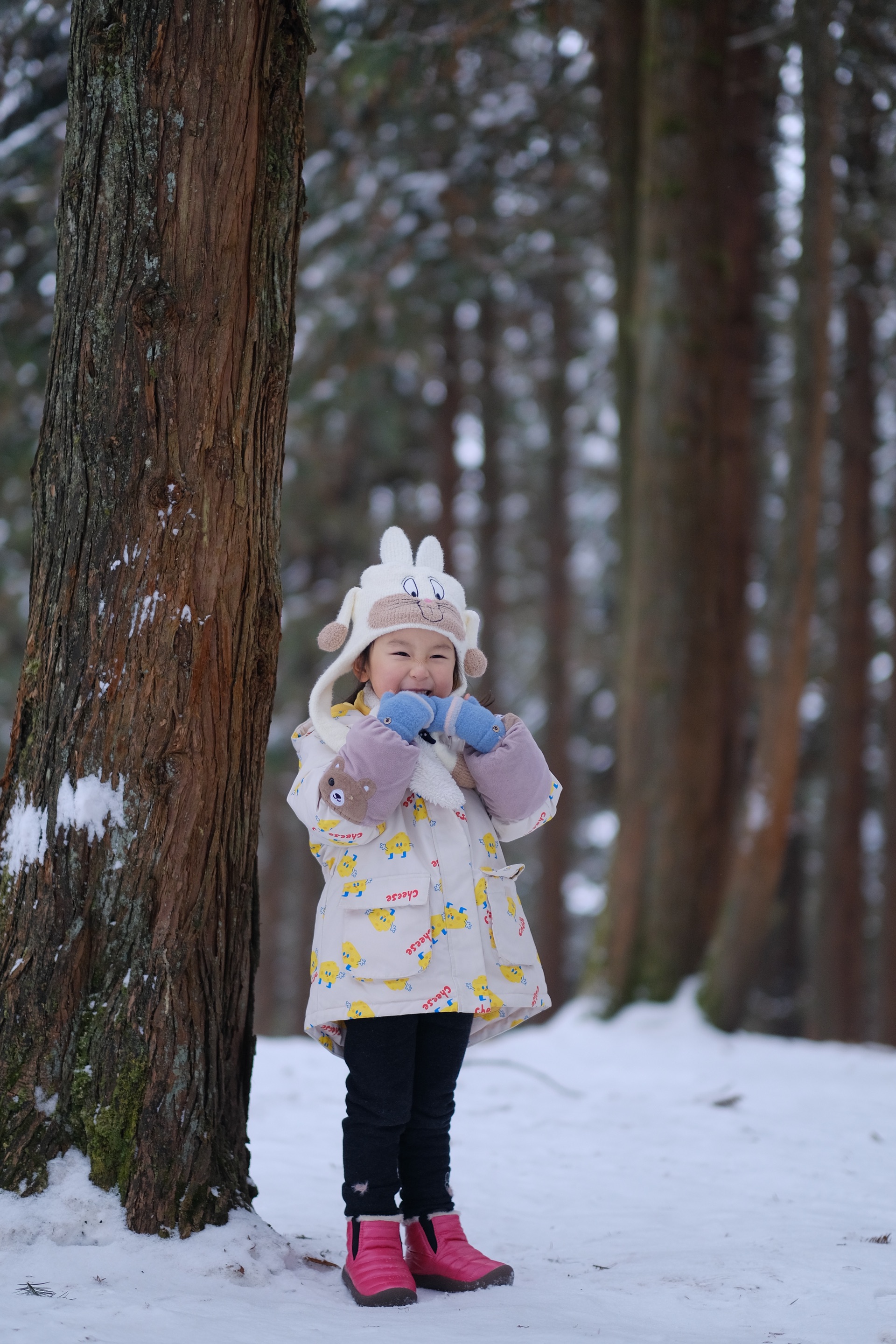 美到静止的下雪天  冬日限定美好——仙女山国家森林公园