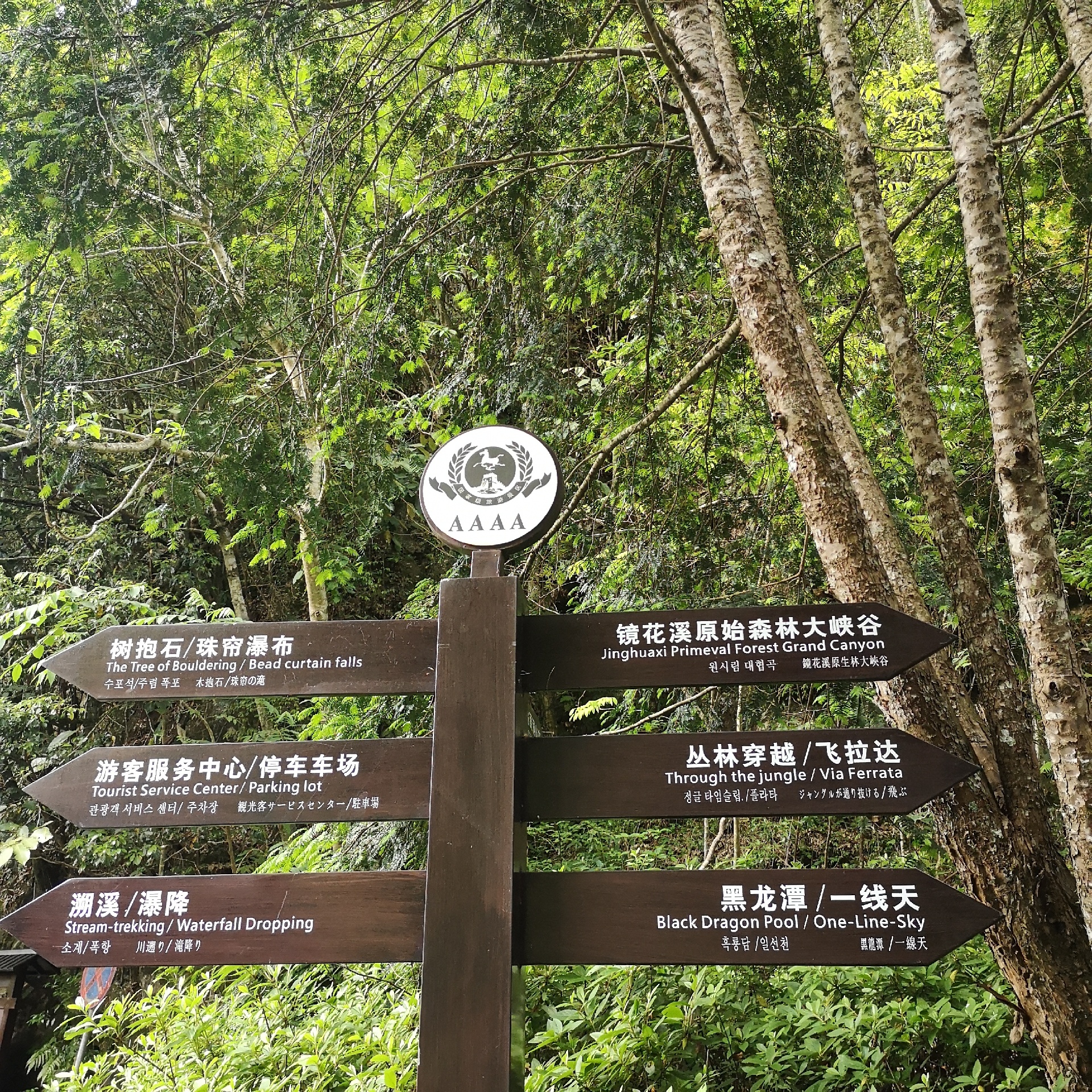 神农谷-氧吧-炎陵县神农谷国家森林公园